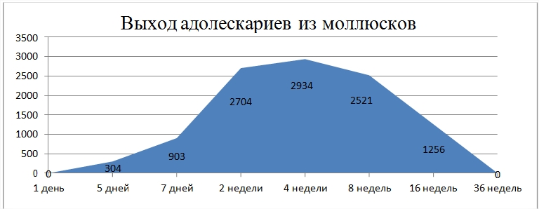 Количественный выход церкариев F.hepatica из малого прудовика разных возрастных категорий